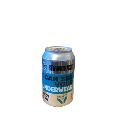 I can see your underwear - Blik 33cl - Hazy Ipa