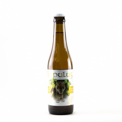 Lupulus Tripel - Fles 33cl - Tripel